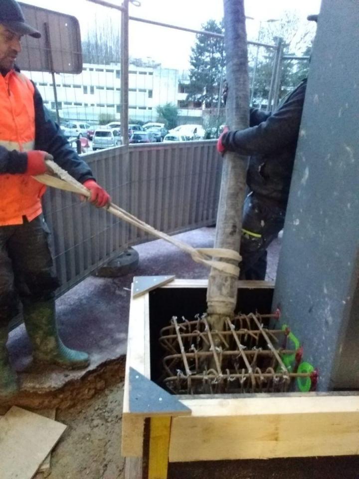 Reprise de fondations Louvres